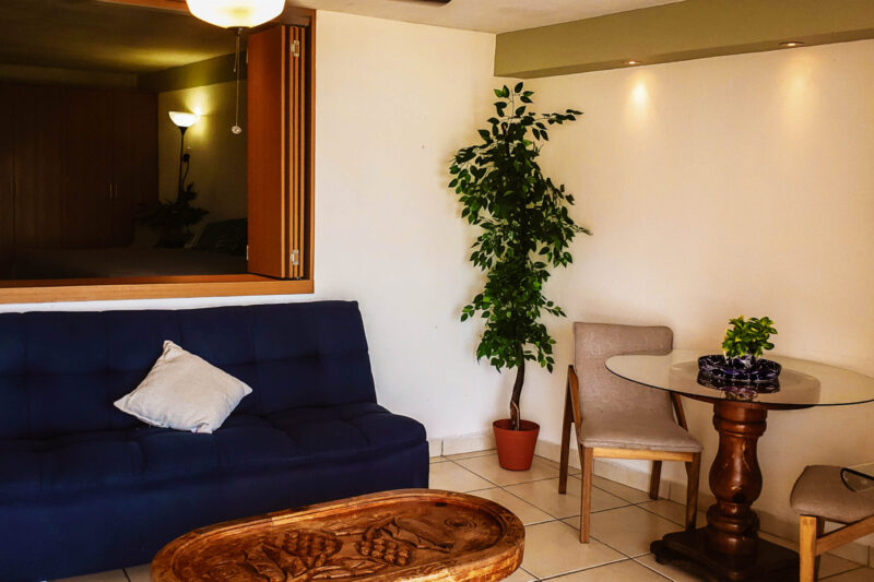 Amazing Oceanview in Hotel Zone (#0737)