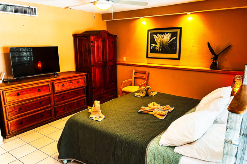 Amazing Oceanview in Hotel Zone (#0733)